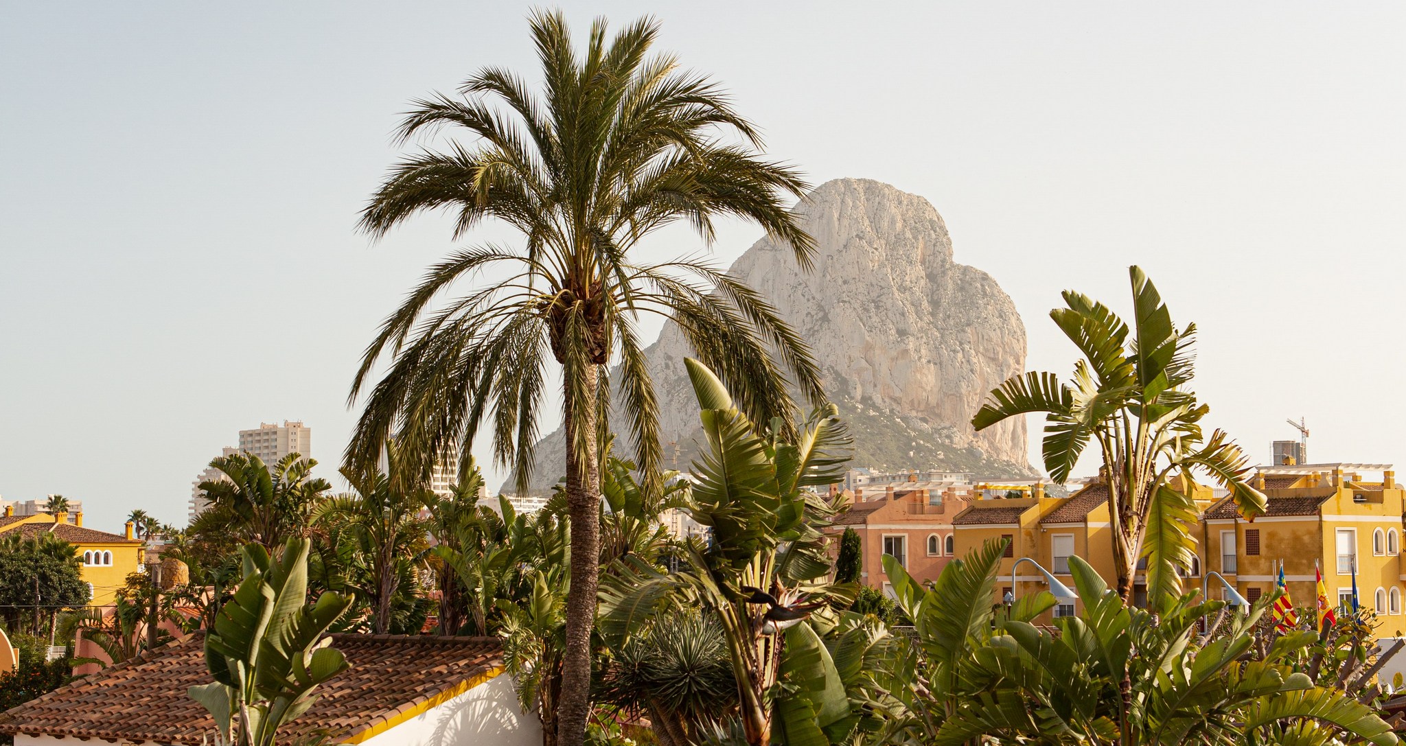 Physiological Effects of Hot Climates