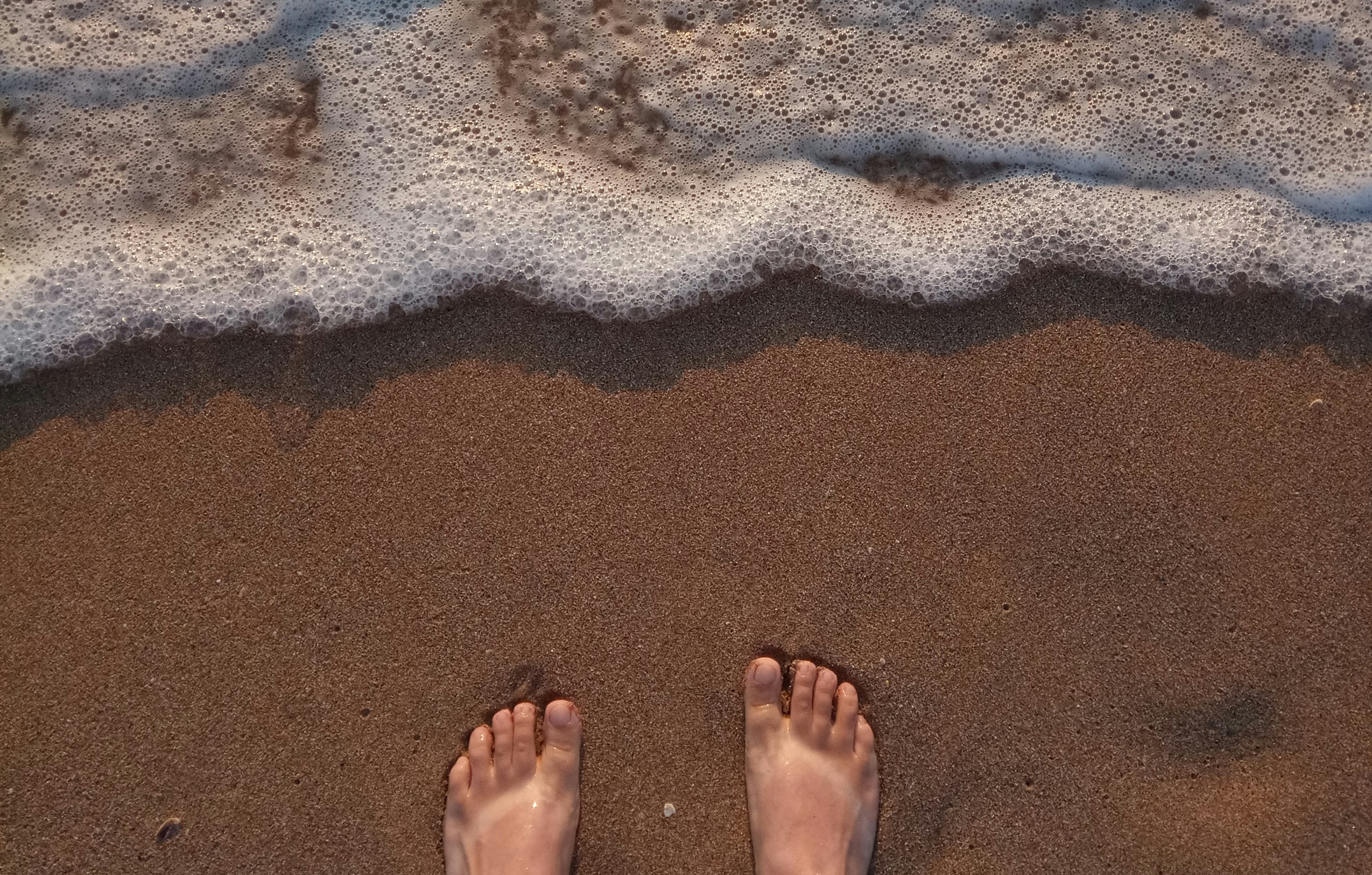 AI: Artificial Incompetence or Actual Idiocy?